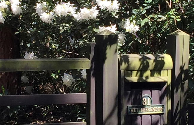 Gierle Garden Bungalow Escape - Foto 3