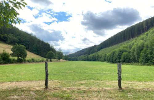 Schmallenberger Ferienhaus - Foto 33