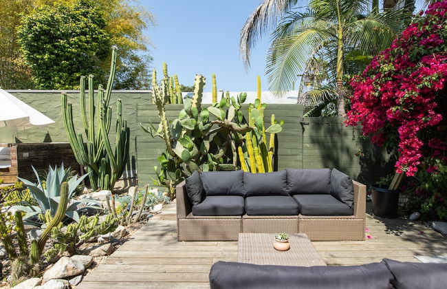 Cactus Flower - Foto 22