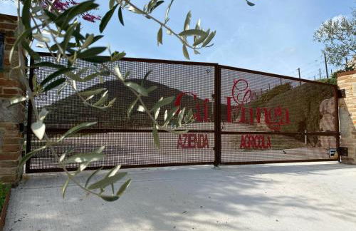 AZIENDA AGRICOLA CA' LUNGA - Foto 19