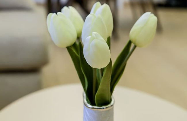 Expecto Apartments - Foto 34