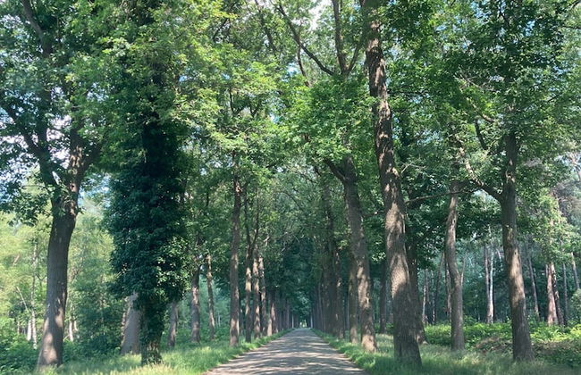 Nice Apartment on Unesco World Heritage Site Wortel-kolonie - Foto 66