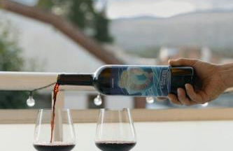 VINYES DEL PRIORAT - Foto 9