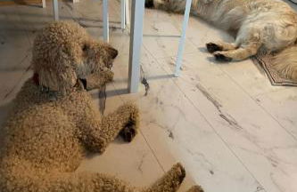 Holiday Home Finnhaus by Interhome - Foto 38