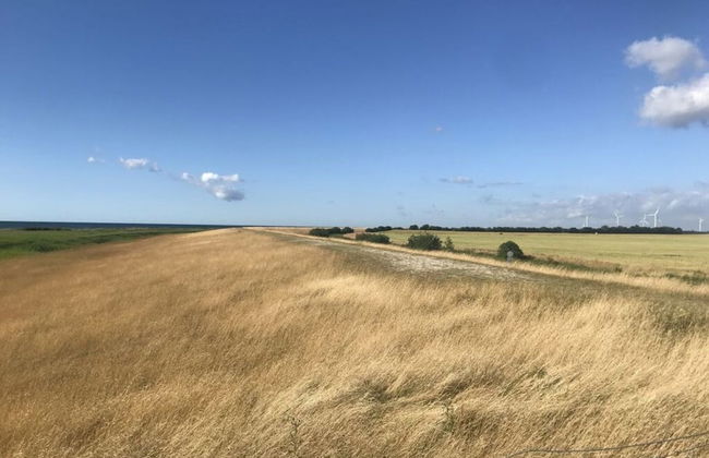 Holiday Apartment Inselstern - Foto 11