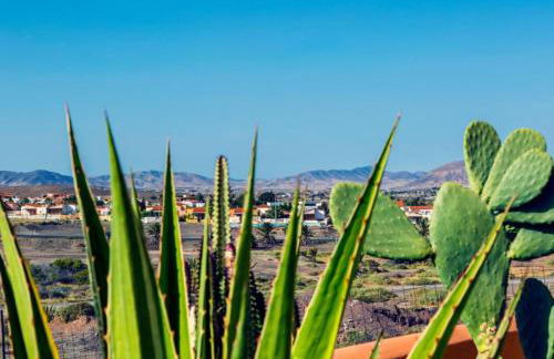 Villa Garden - Photo 11