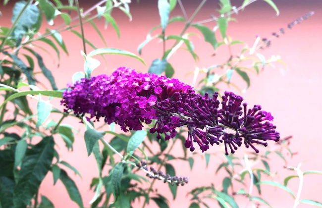 Apartment on the Elbe Ferry - Apartment for 2 - 3 People - Photo 33