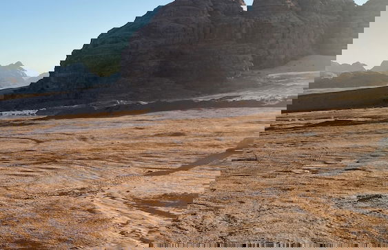 Wadi Rum Rose camP - Photo 48