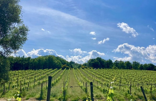 Agriturismo Piombaia - Foto 27