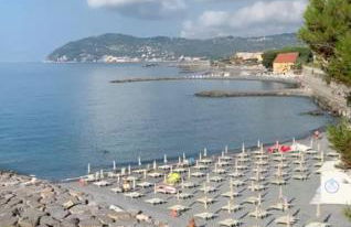 Bellissima Cervo - Foto 18