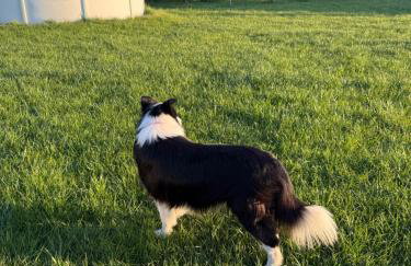 SielskiePrzylesie Charzyno - Foto 16