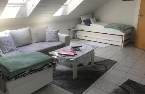 Haus-Irena - Foto 17