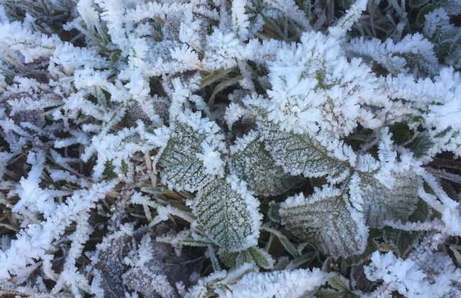 Quaint Chalet in Petithan With Roofed Pool - Foto 30