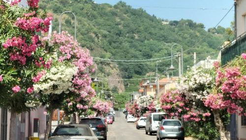 Tuttifrutti holiday - Foto 2