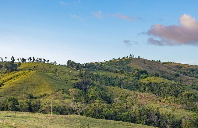 Skybike en Toro Verde Eco Adventure Park - Foto 1