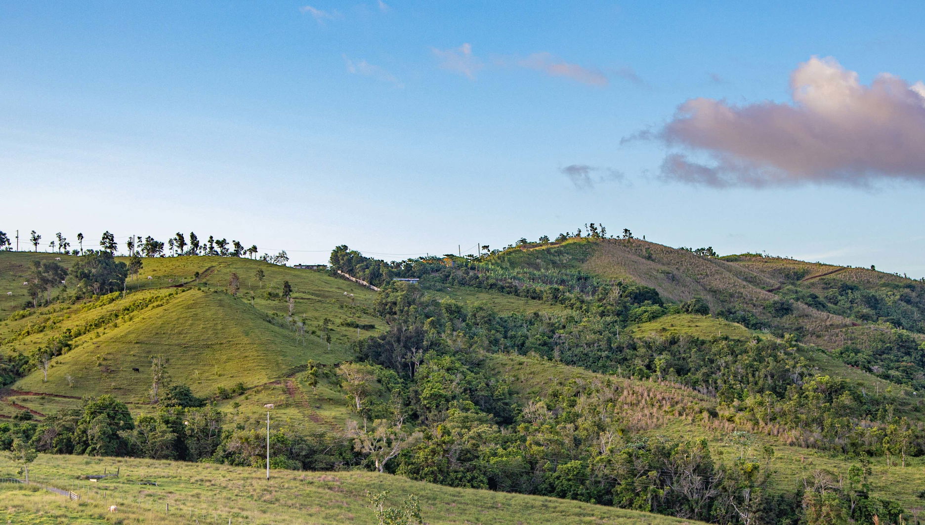 Skybike in Toro Verde Eco Adventure Park - Foto 1