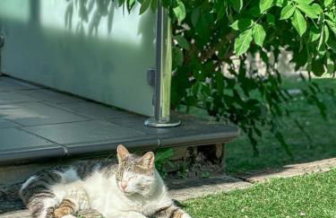 Villa Suances - Foto 45