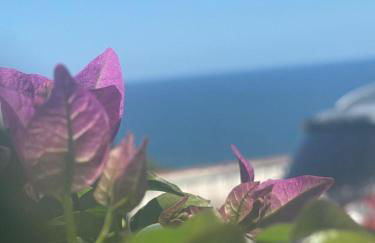 Sunderville Superior - Foto 61