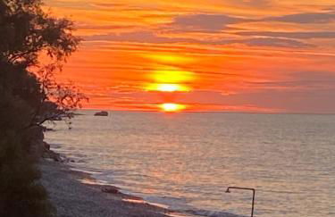 AGROTOPIA Guesthouses - Foto 58