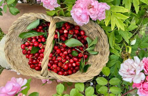 Agriturismo Casale nel Parco dei Monti Sibillini - Foto 59