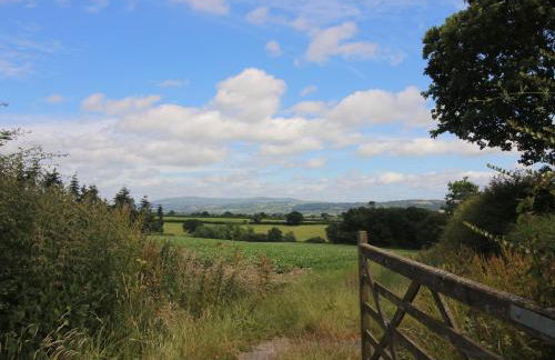 Walton Maisonette - Foto 27