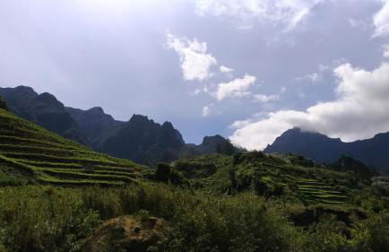 Ape Esquerdo - Foto 33