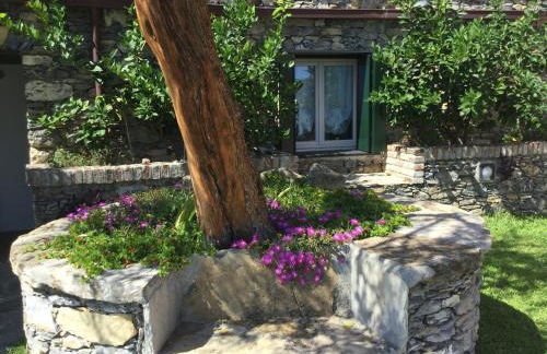 Villa Olivia Residence by PortofinoVacanze - Foto 11