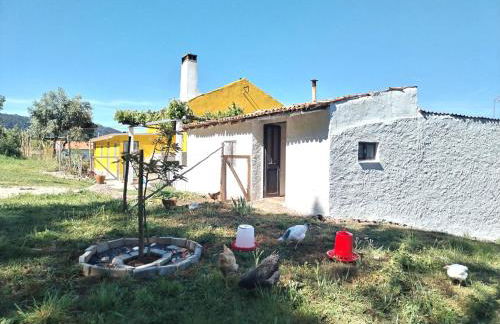 Casa 99 in Barbéns, Miranda do Corvo - Foto 17