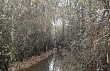 Casa Rural Sierra San Mamede - Foto 56