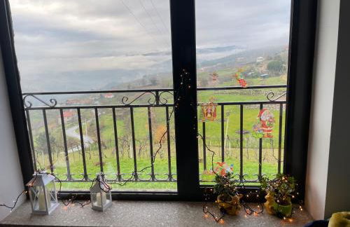 Quinta do Sonho - Foto 63