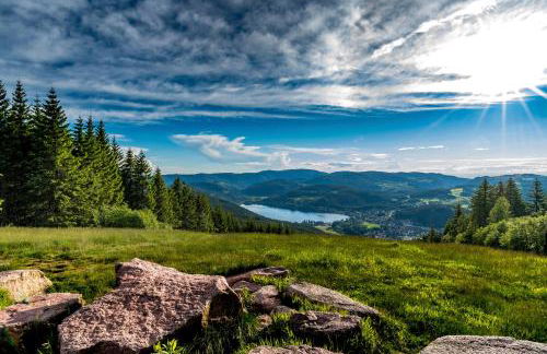 Zartenbach Suite One - Foto 33