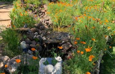 Amazing Santa Cruz Landscaped Paradise - Foto 11