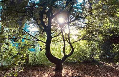 North Cottage - Photo 22