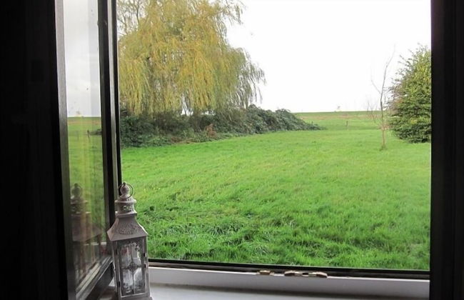 Deichschätzchen - Foto 12