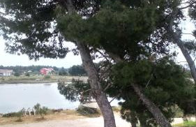 Apartments Jurić - Zablaće - Foto 38