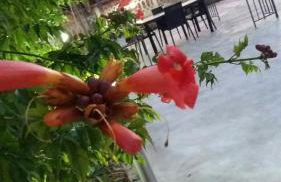 Casa Pagani - Foto 53