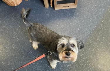 6 Rannoch, lovely holiday static caravan for dogs & their owners. - Photo 55