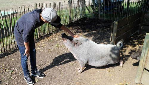 Ferienhof Kai Hansen - Foto 3