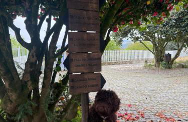 Casas do Souto - Foto 16