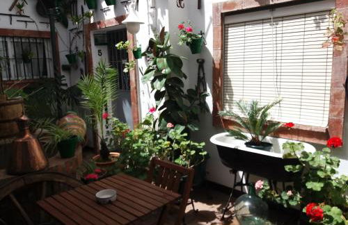 Casa Museo Jerez Centro - Foto 29