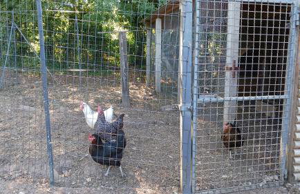 Le gîte du mas avec piscine - Foto 28