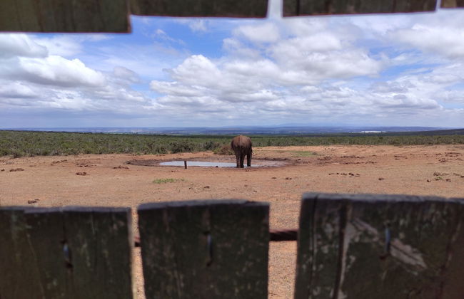 Beachfront Villa Africa Queen Jeffreys - Photo 70