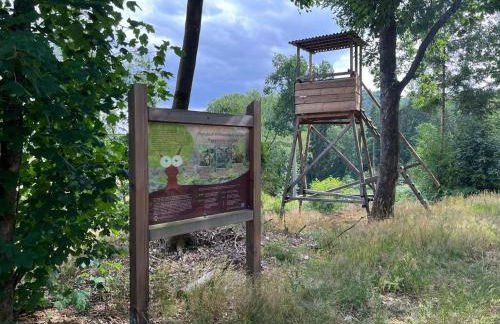 Großes neues Appartement Mein Burgwaldtraum - Foto 36