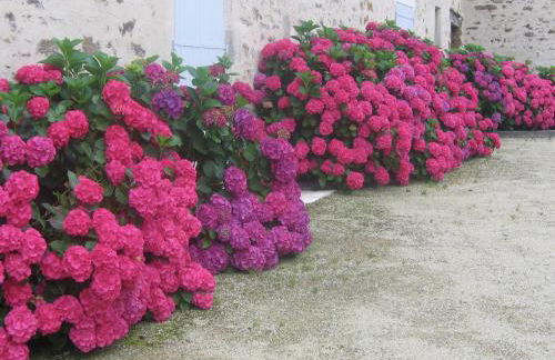 Holiday Home in Saint-laurent-de-la-salle With Pool - Foto 50