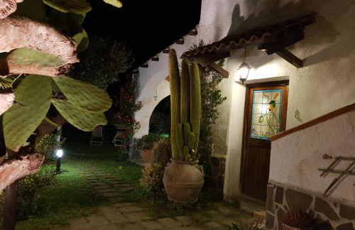 La Limonaia - Foto 22