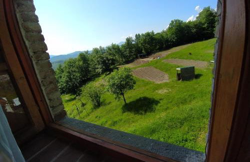 Agriturismo Paneolio - Foto 5