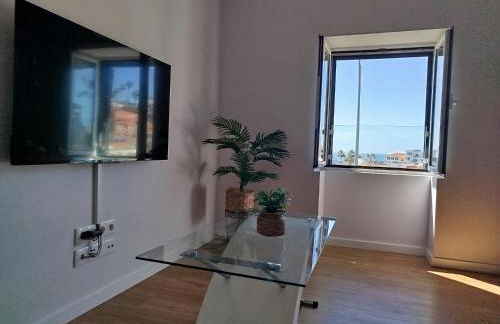 Baía dos Lobos - Foto 34