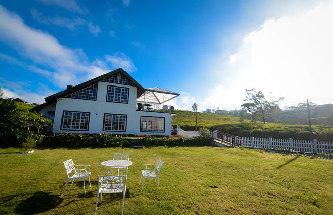 The Tea Garden - Foto 40