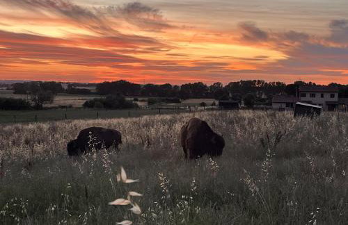 Terra dei Bisonti - Foto 2