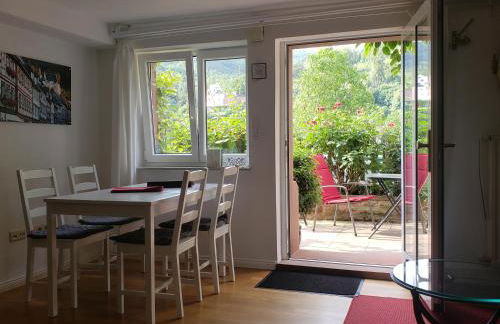 Panorama-Blick Miltenberg, 3 Pers., zentr., am Main, Terrasse, Bootverleih, P - Foto 19